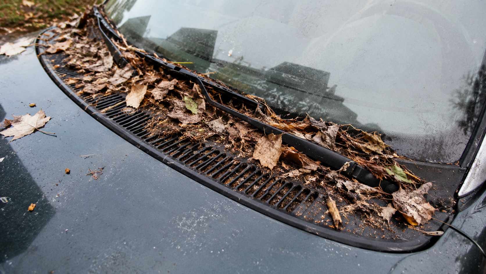 Grille d'auvent d'une MX-5 verte obstruée par des feuilles mortes